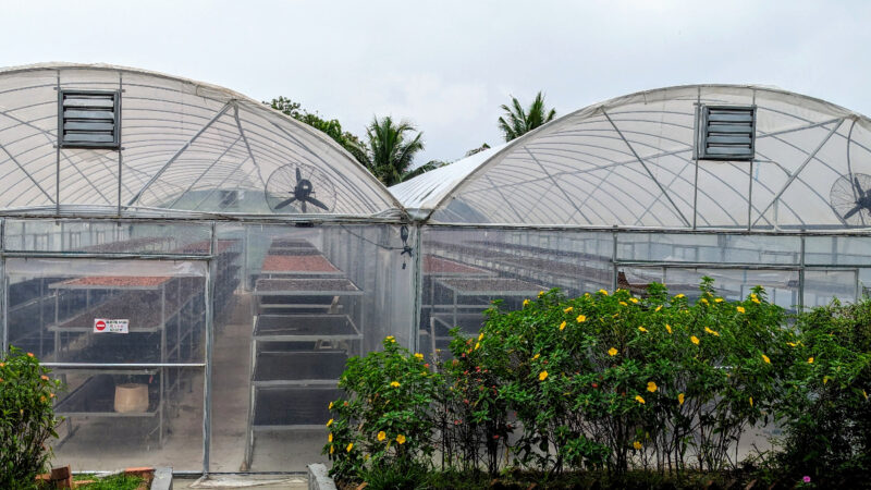 Greenhouse mit Trocknungsbetten