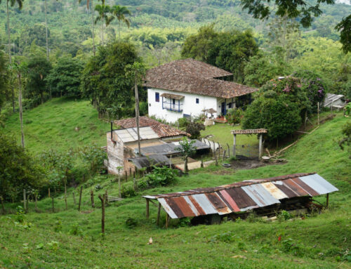 Finca La Coca – Quindios älteste Kaffeefarm