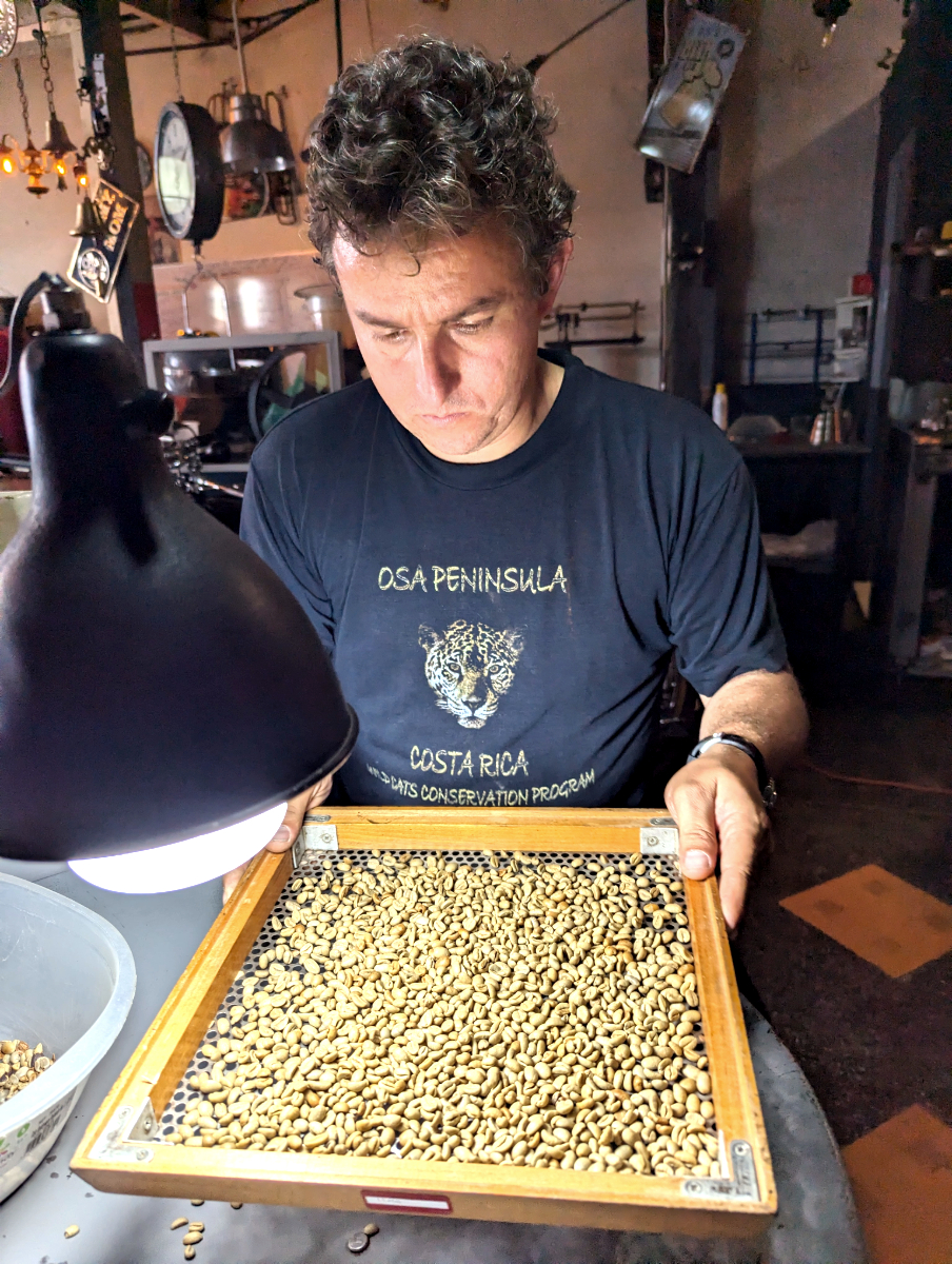André siebt den getrockneten Kaffee nach Größe
