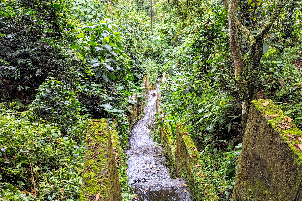 Regenwasserlauf und Bewässerungssystem auf der Finca La Coca